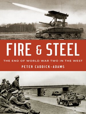 cover image of Fire and Steel